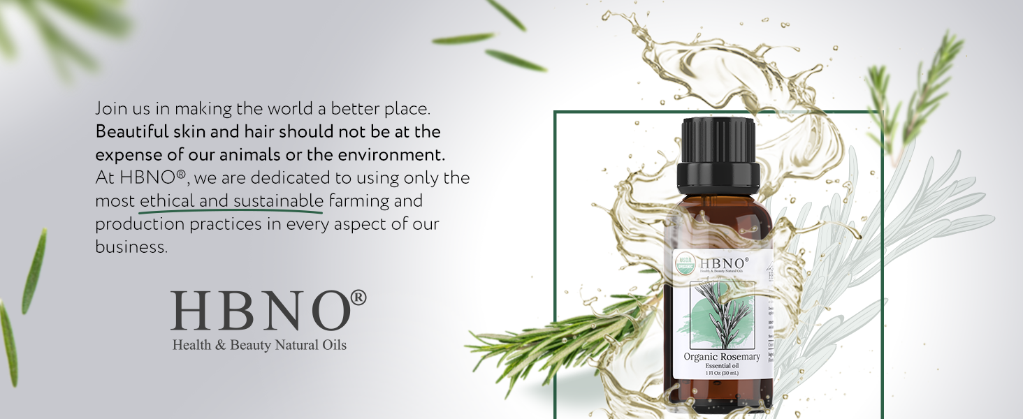 Rosemary Essential Oil Organic