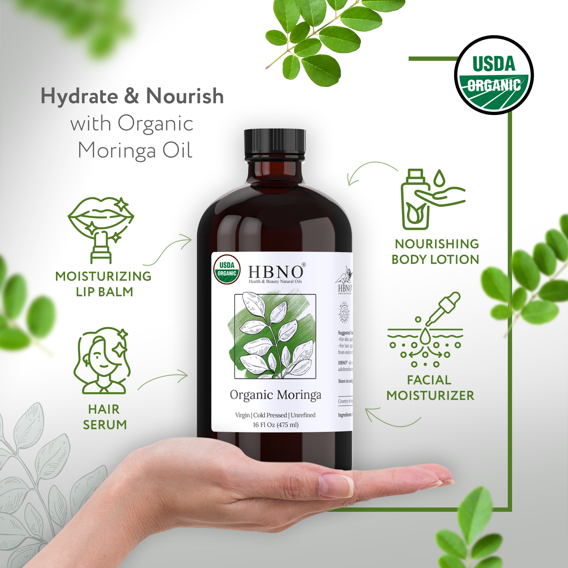 Moringa Seed India Carrier Oil Organic