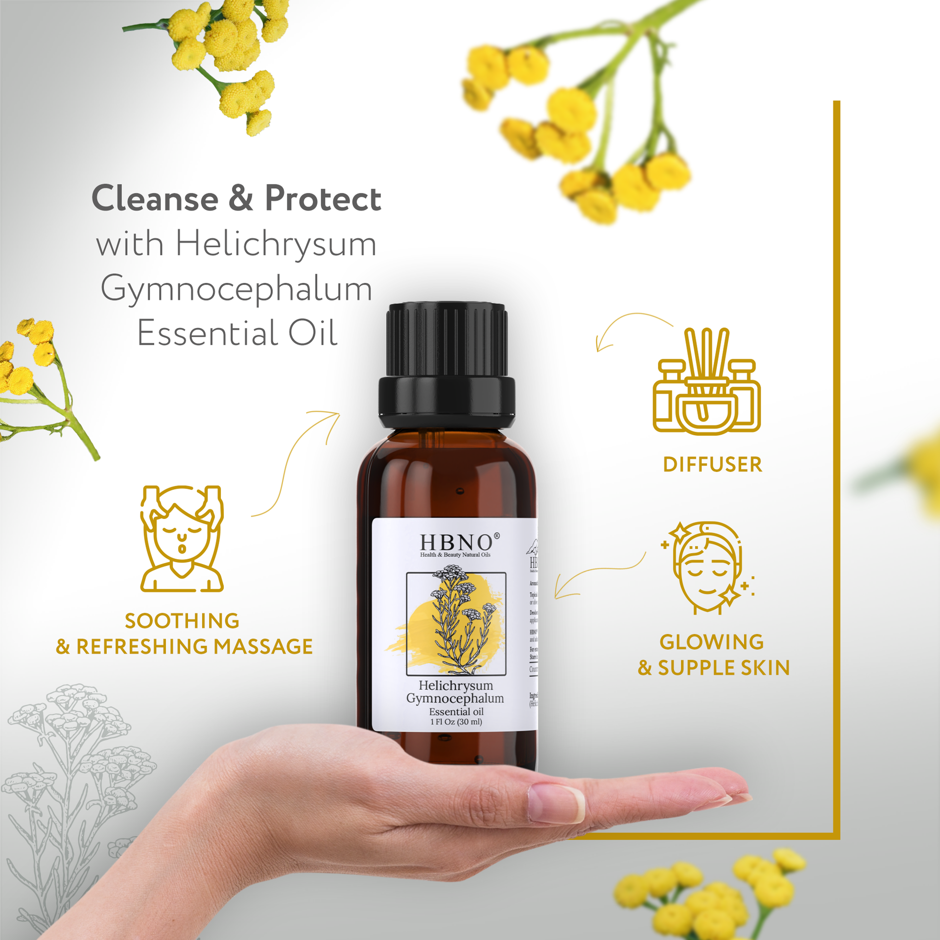 Helichrysum Gymnocephalum Essential Oil