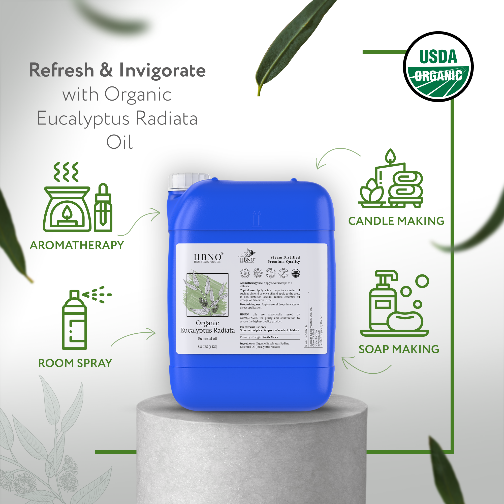 Eucalyptus Radiata Essential Oil Organic