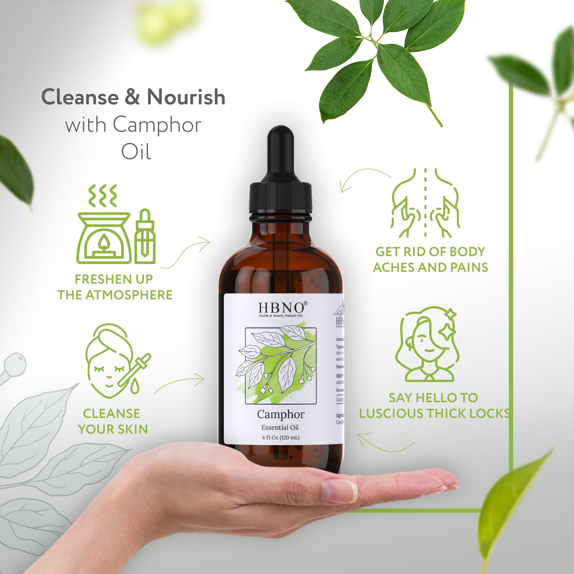 Camphor White Essential Oil