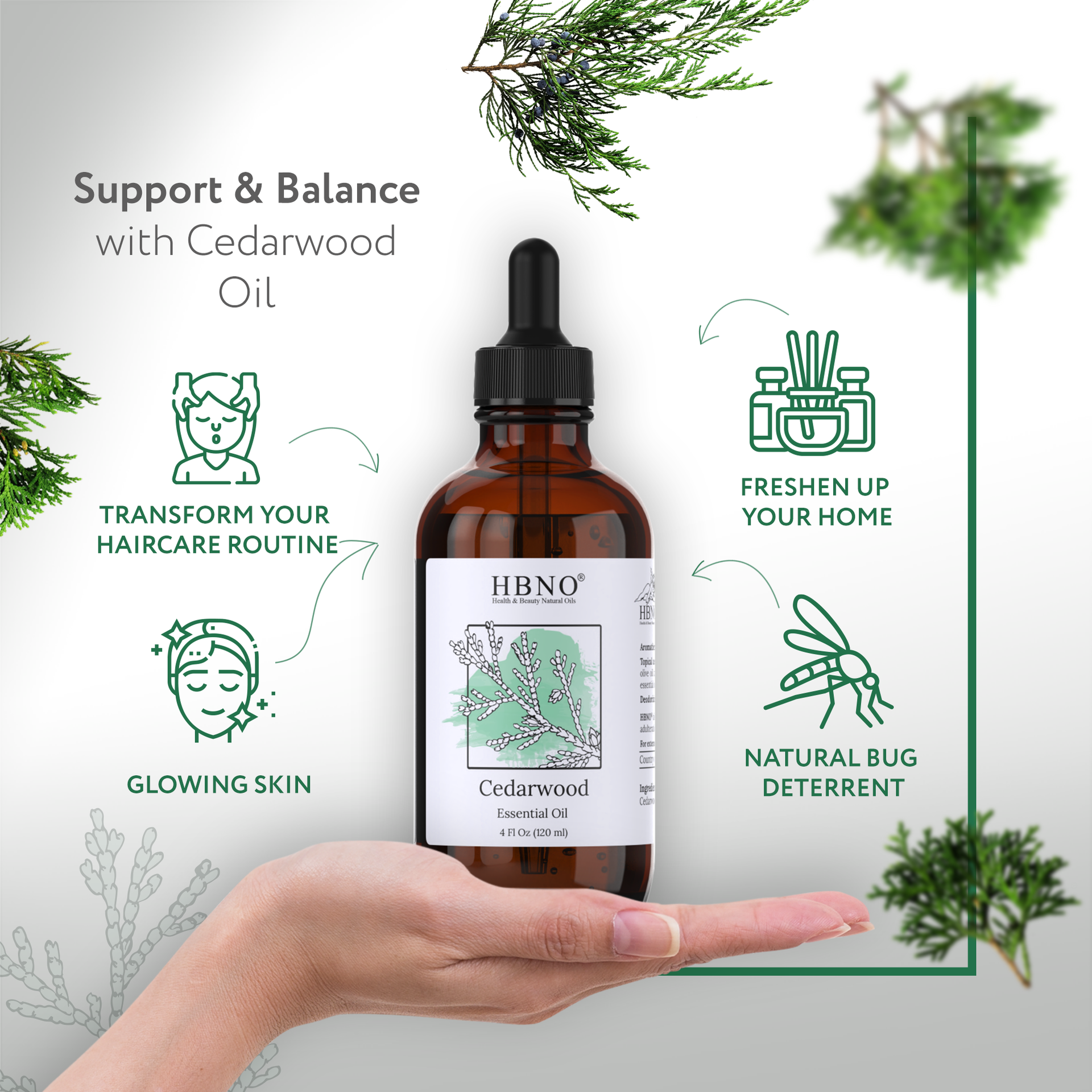 Cedarwood Essential Oil