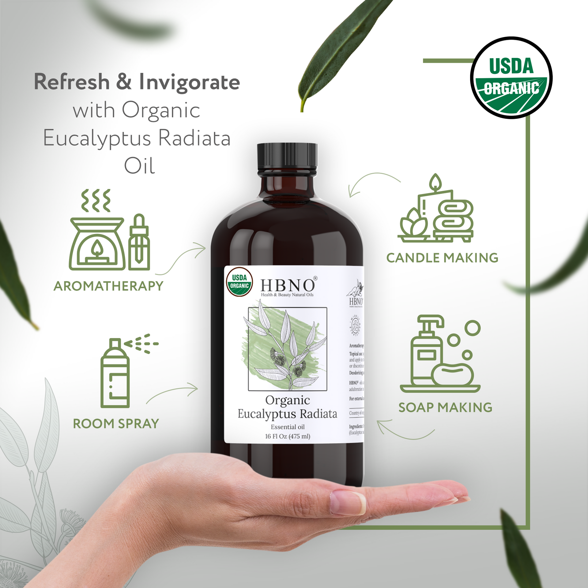 Eucalyptus Radiata Essential Oil Organic