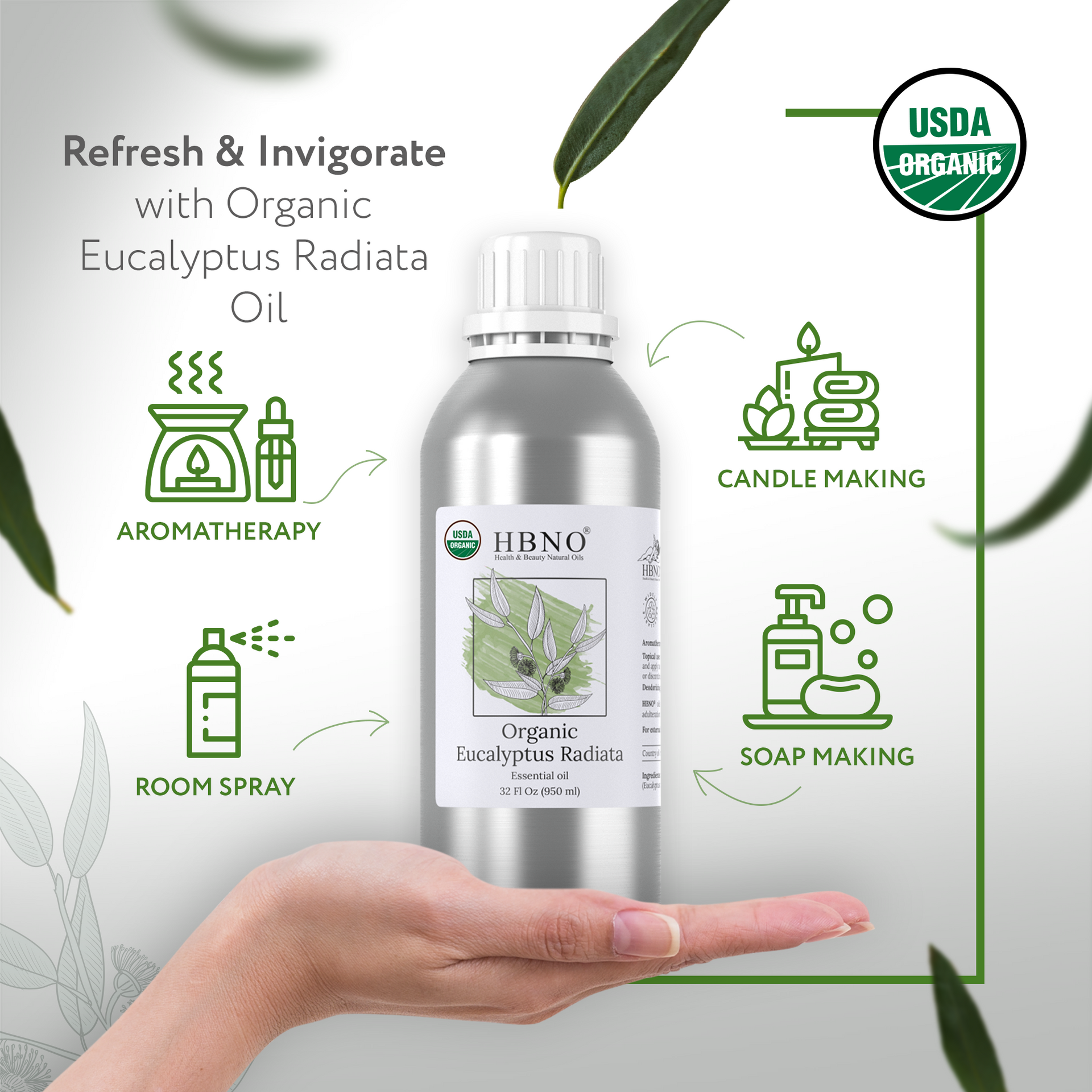 Eucalyptus Radiata Essential Oil Organic