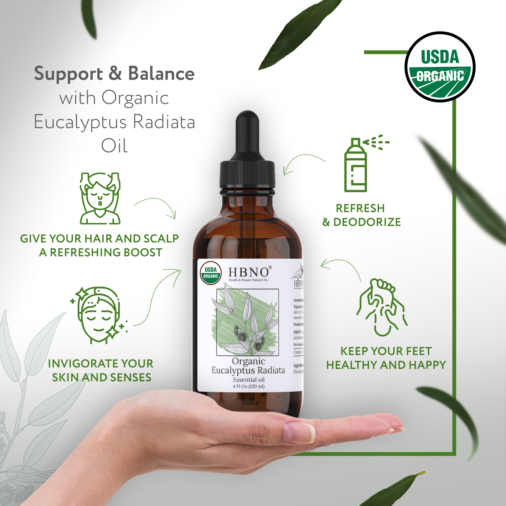 Eucalyptus Radiata Essential Oil Organic
