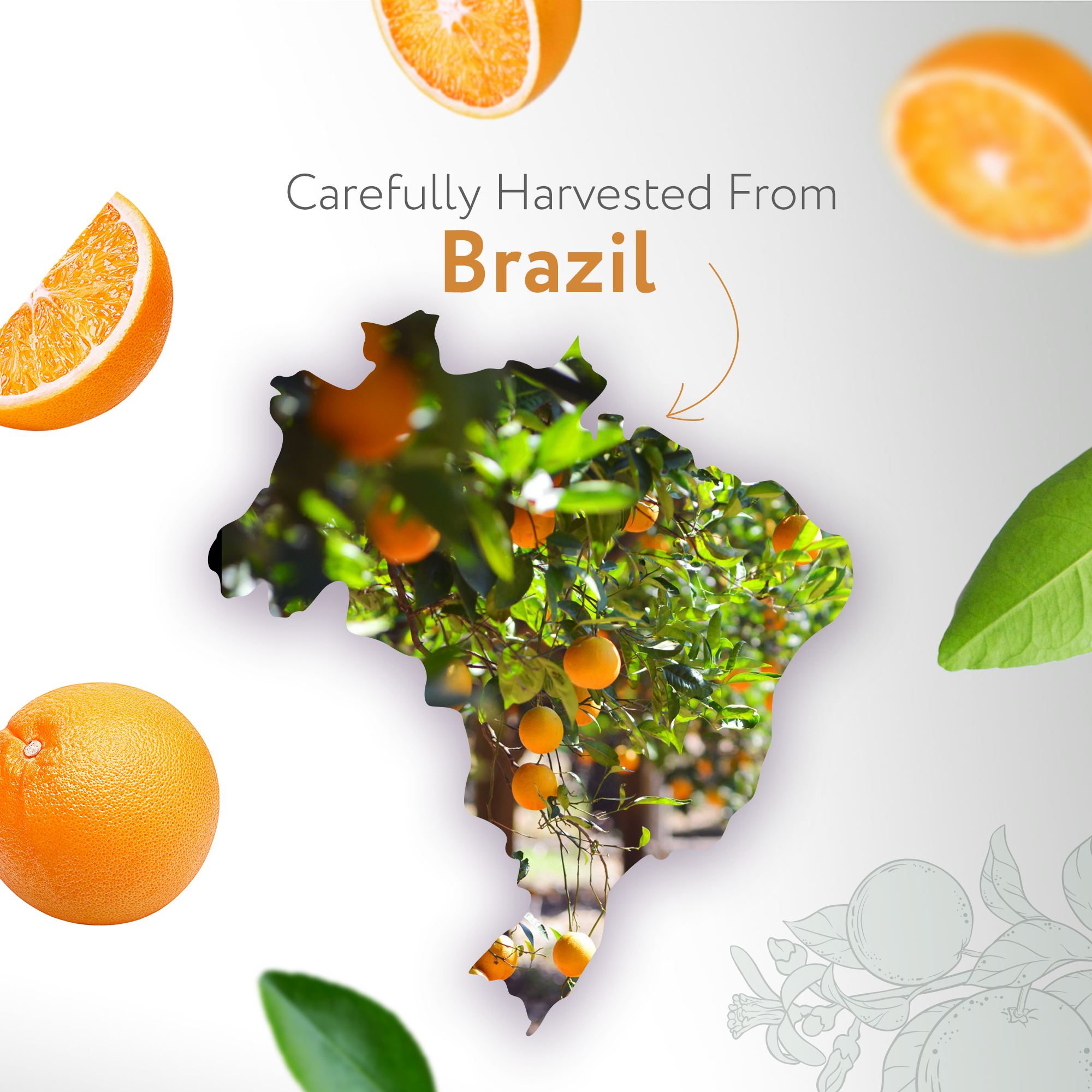 Orange Essential Oil