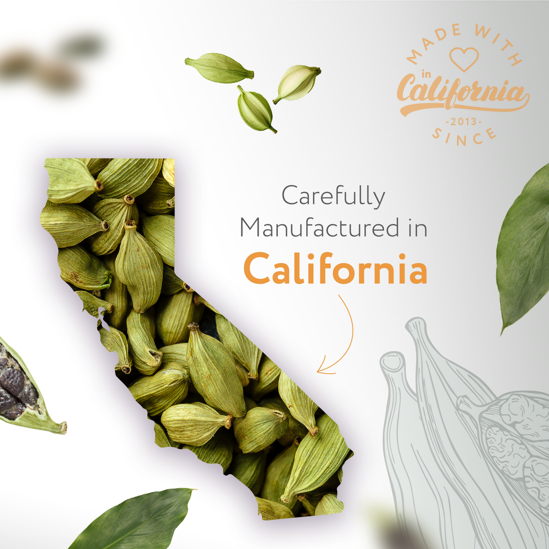 Cardamom Natural Fragrance