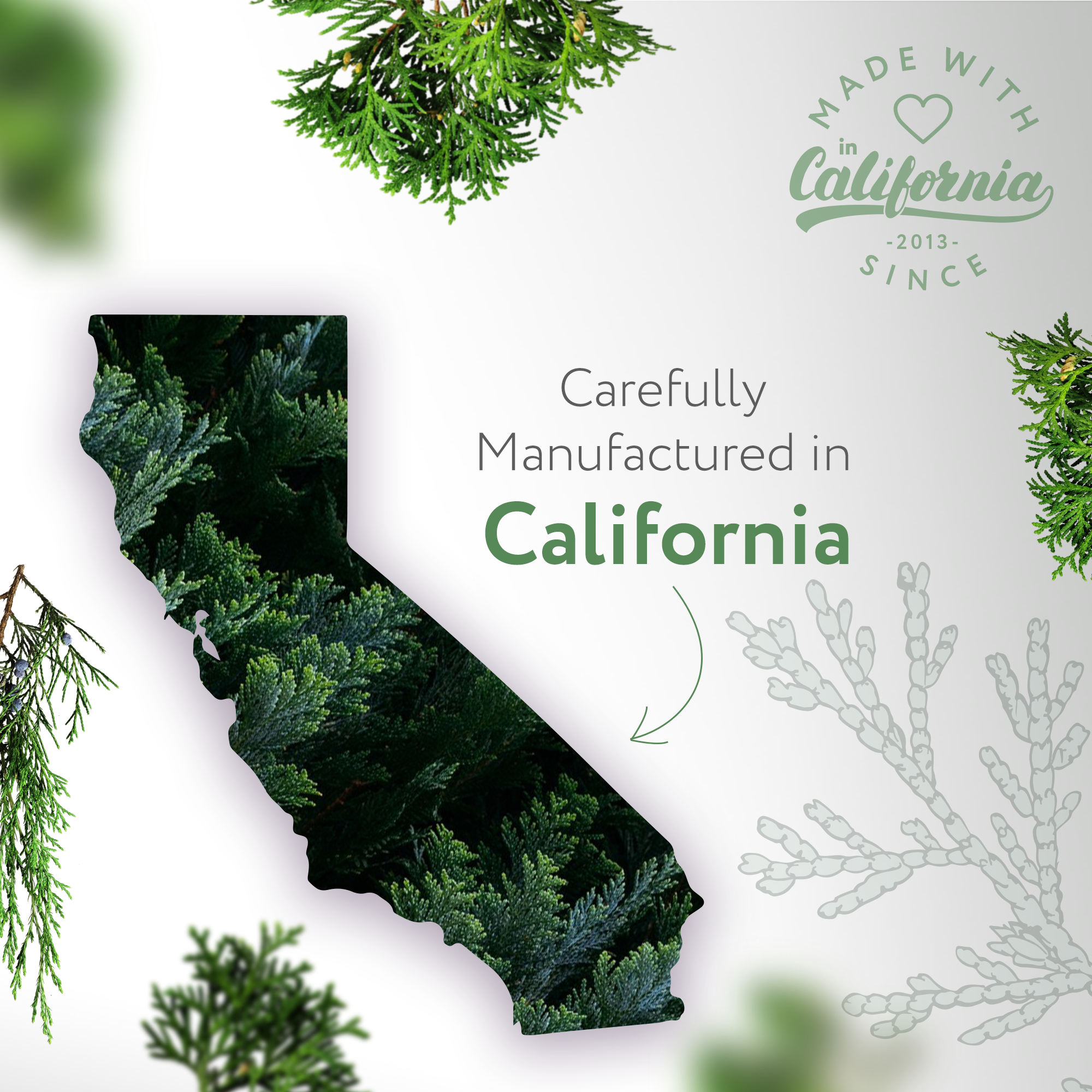 Cedarwood Natural Fragrance