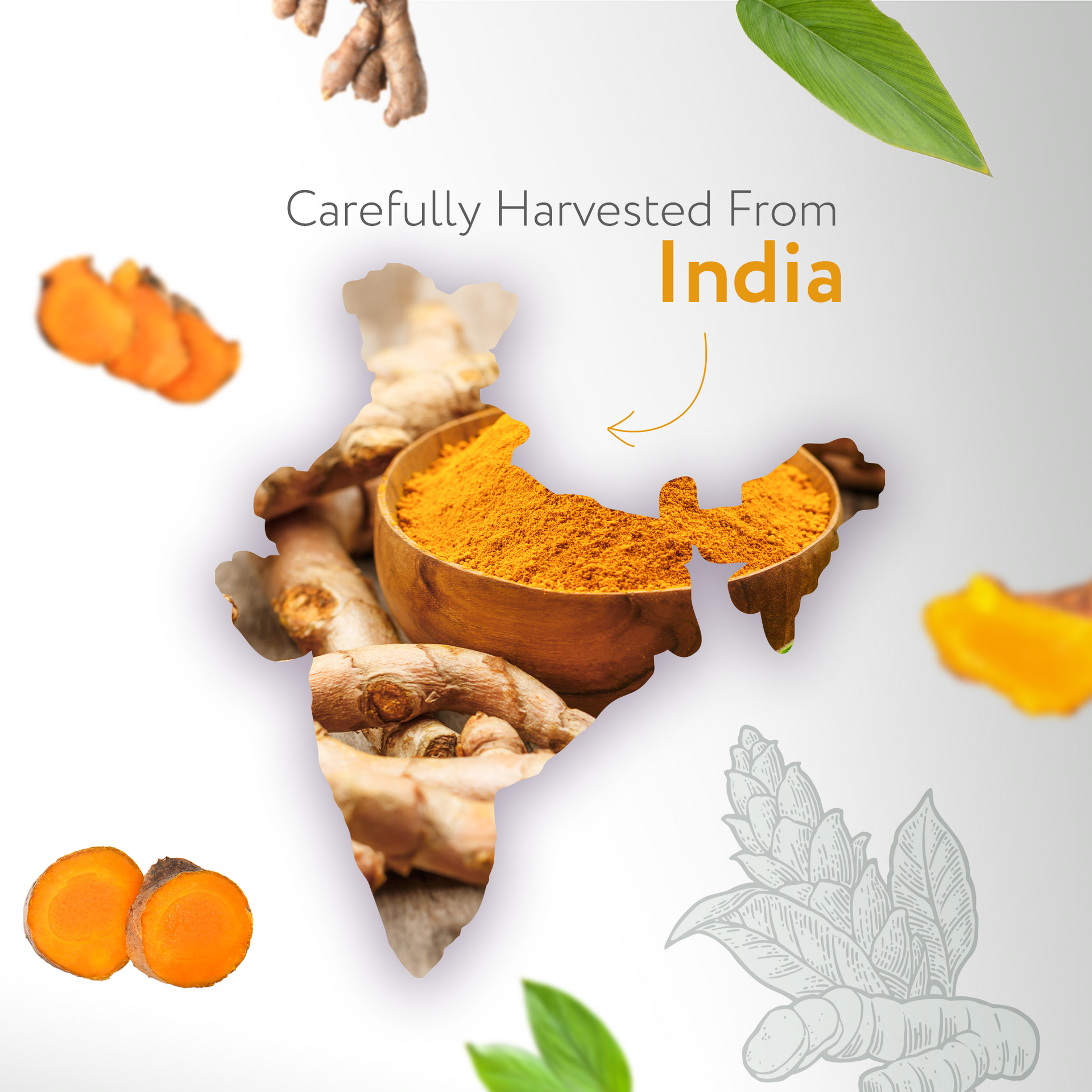 Turmeric Essential Oil