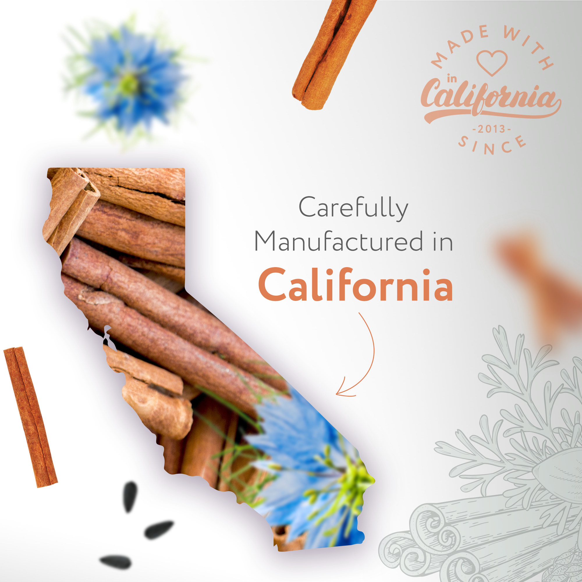 Organic Swish & Shine Black Cumin + Cinnamon