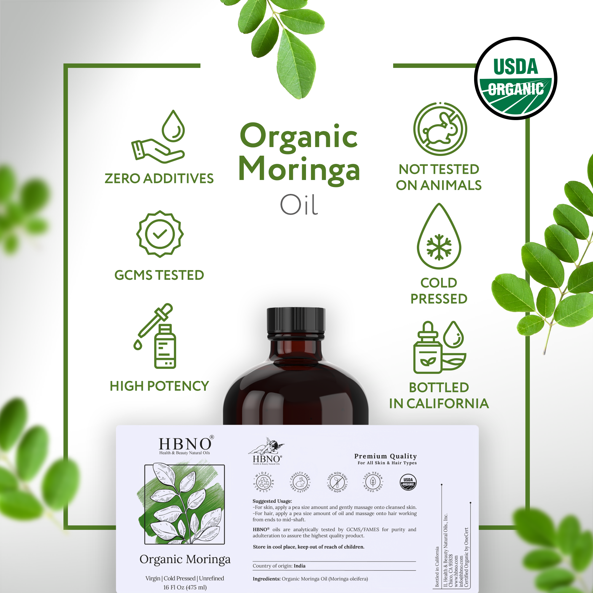 Moringa Seed India Carrier Oil Organic