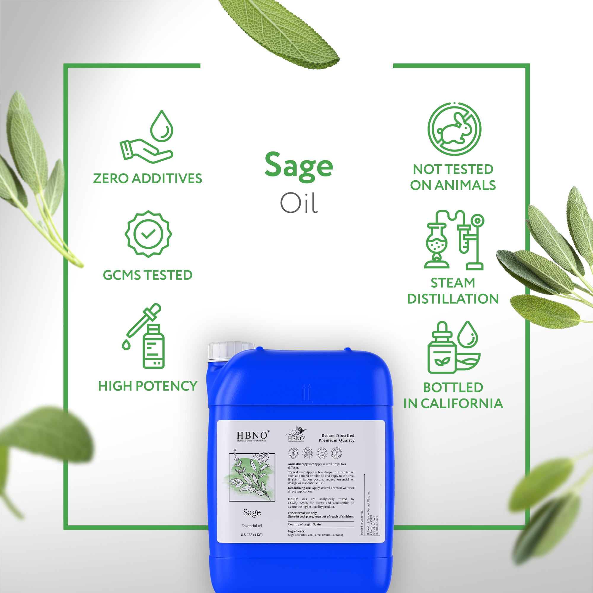 Sage Spain Essential Oil