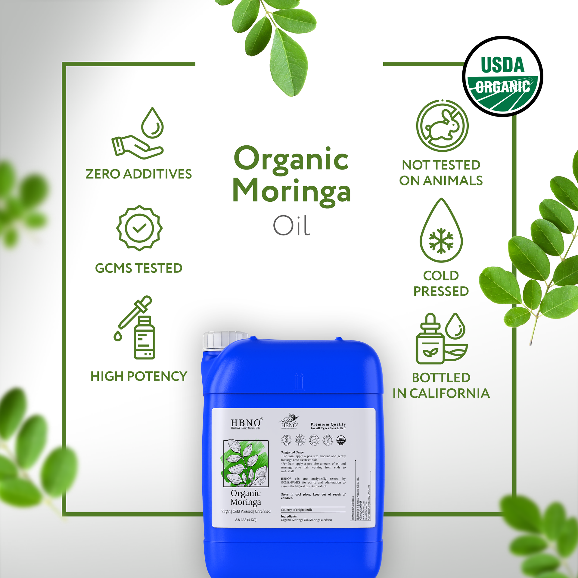 Moringa Seed India Carrier Oil Organic