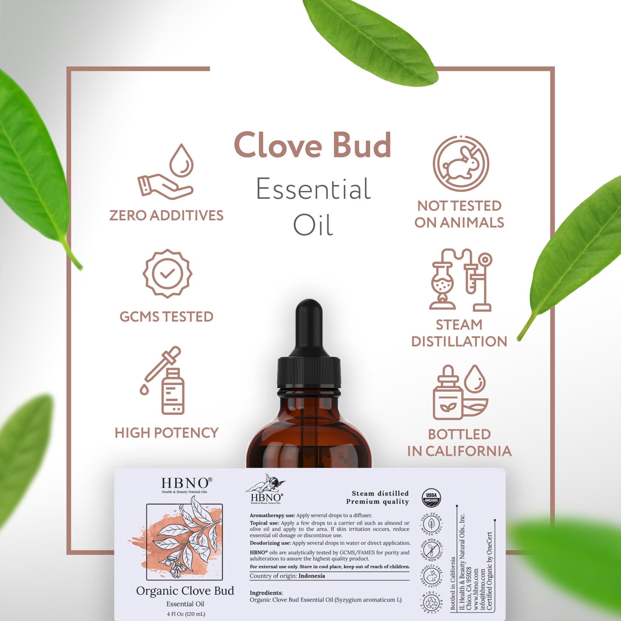 Clove Bud Essential Oil Organic