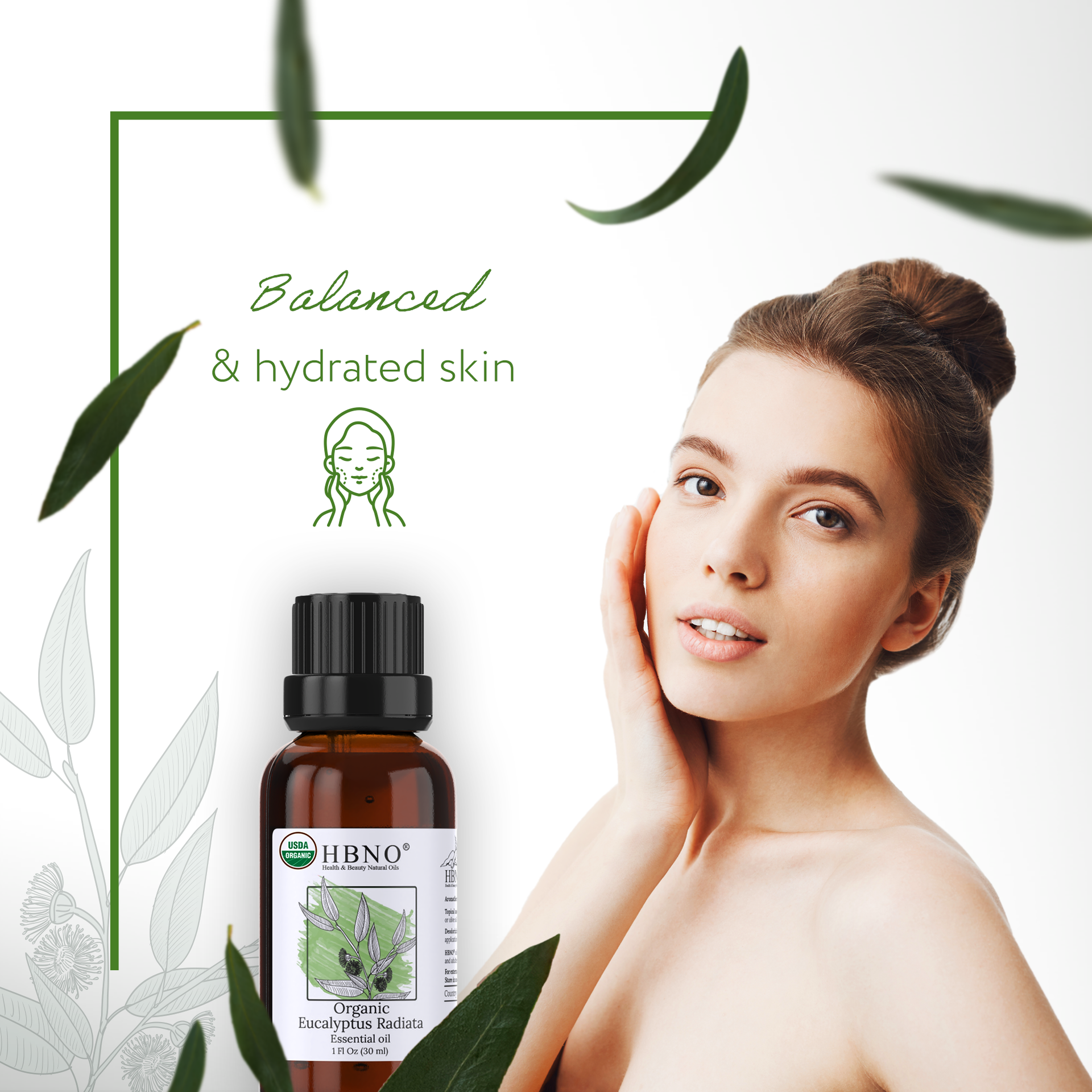 Eucalyptus Radiata Essential Oil Organic