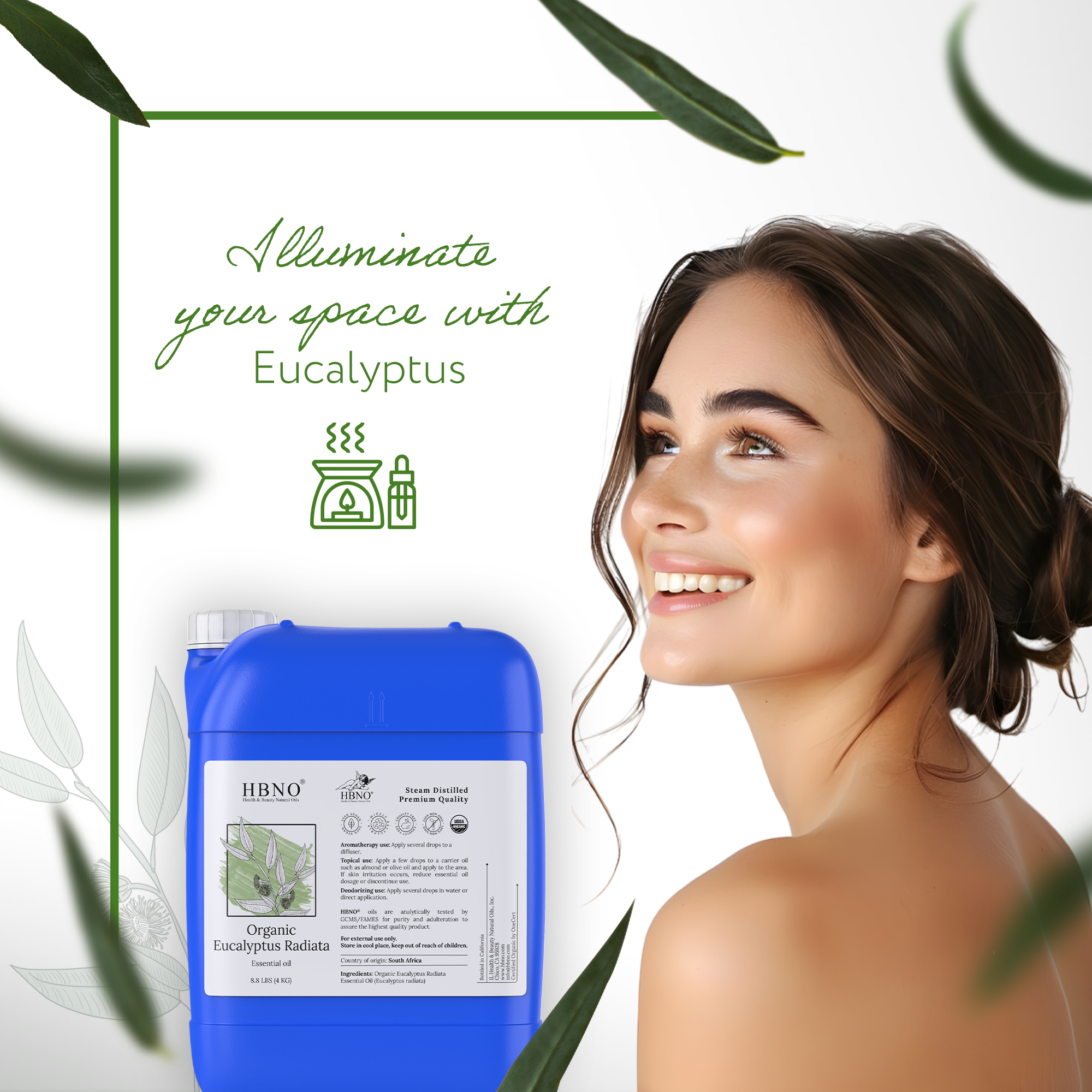 Eucalyptus Radiata Essential Oil Organic