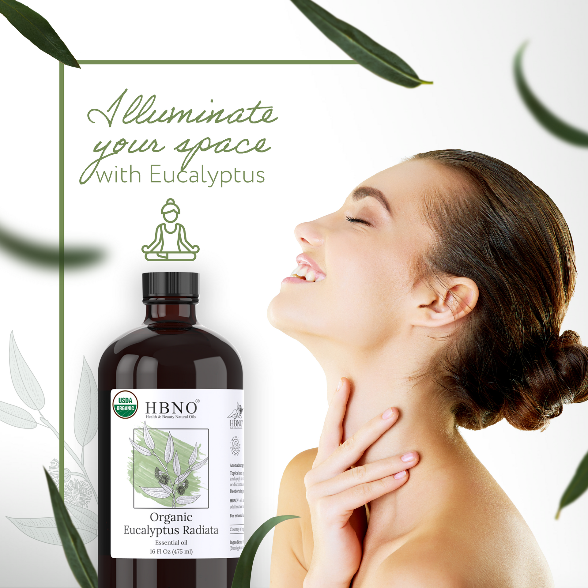 Eucalyptus Radiata Essential Oil Organic