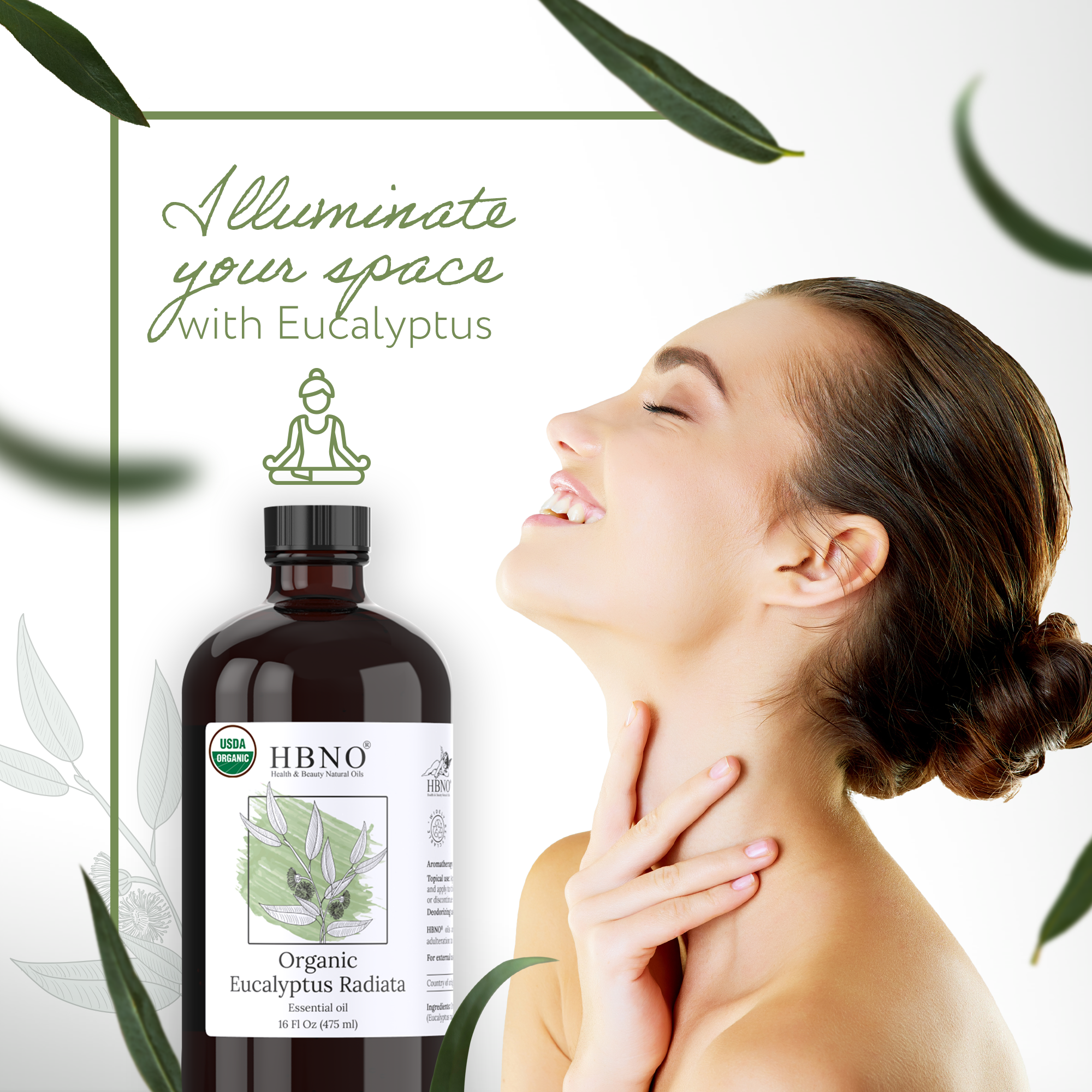 Eucalyptus Radiata Essential Oil Organic
