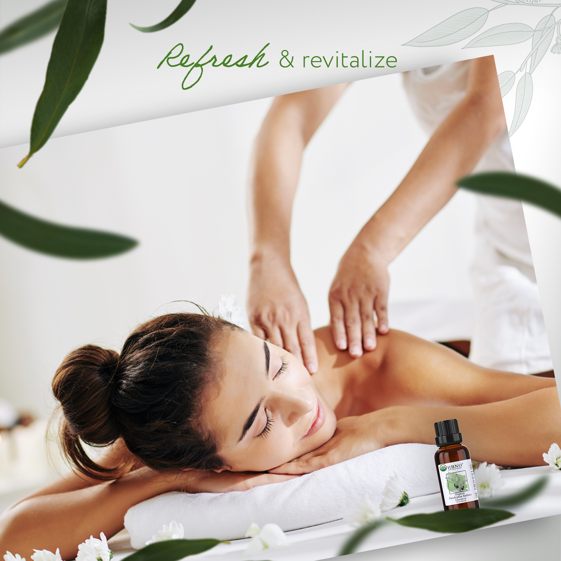 Eucalyptus Radiata Essential Oil Organic