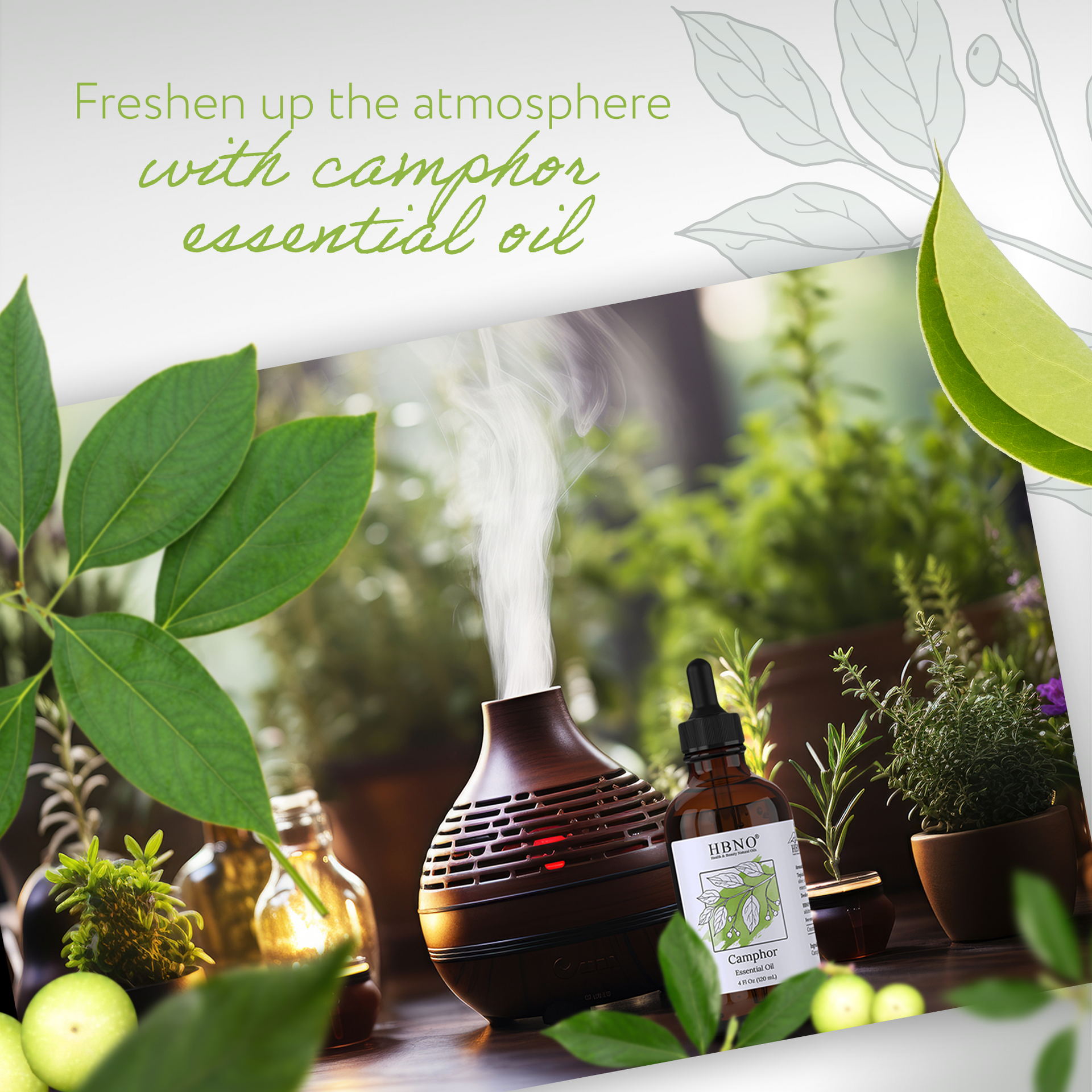 Camphor White Essential Oil