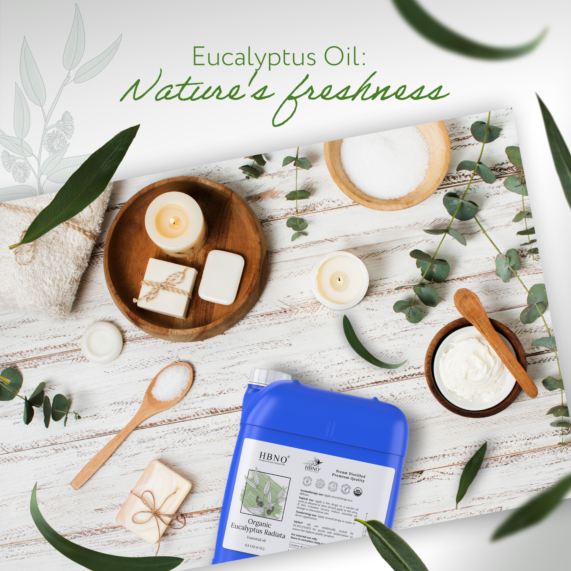 Eucalyptus Radiata Essential Oil Organic