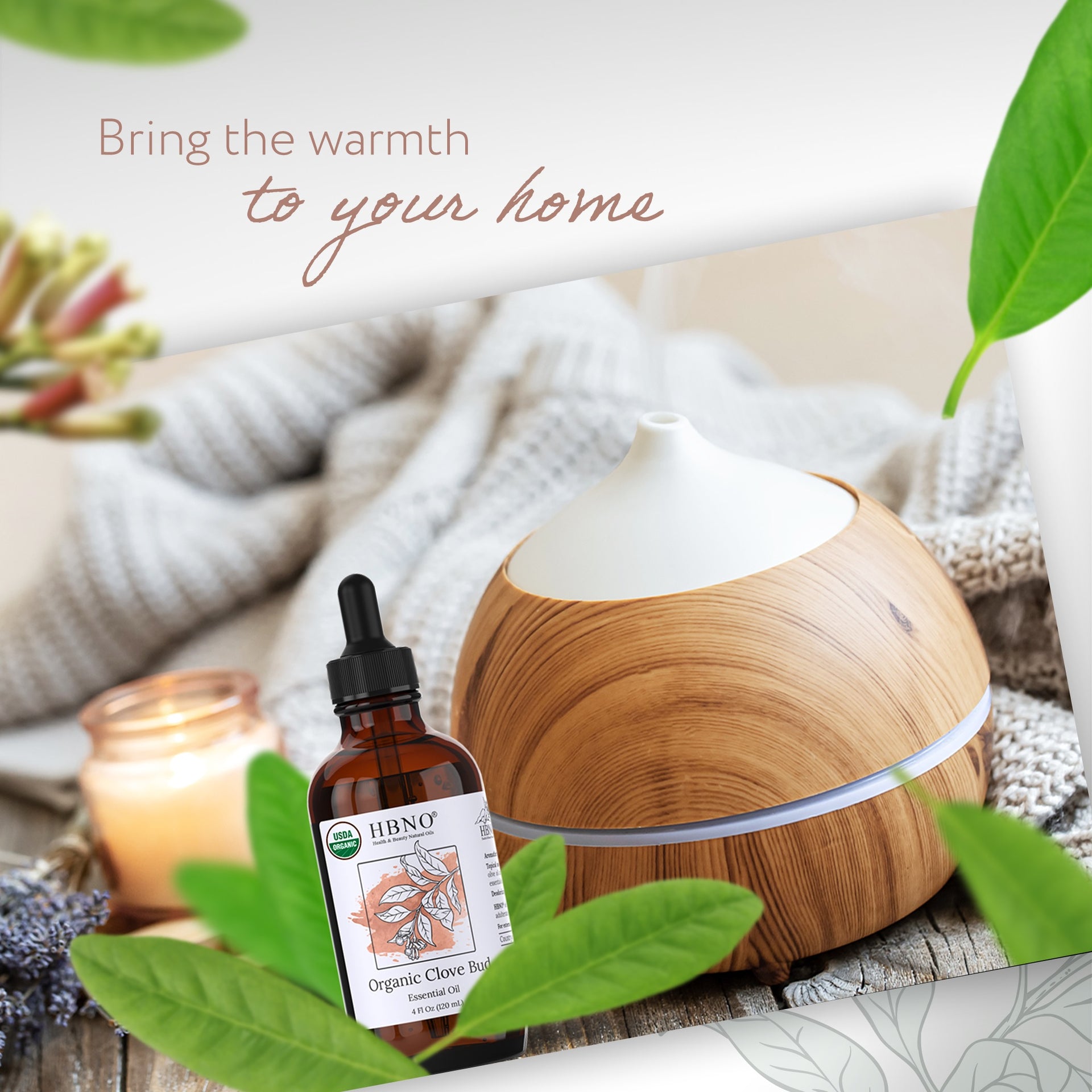 Clove Bud Essential Oil Organic