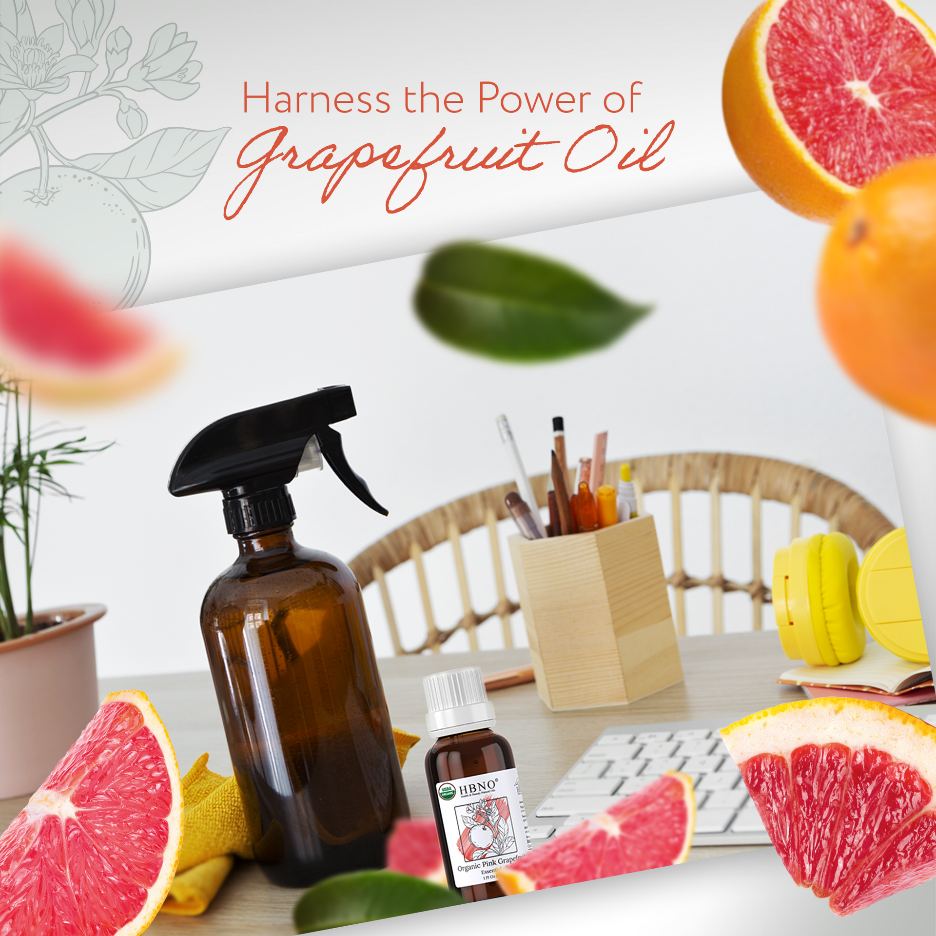 Grapefruit Pink Essential Oil Organic