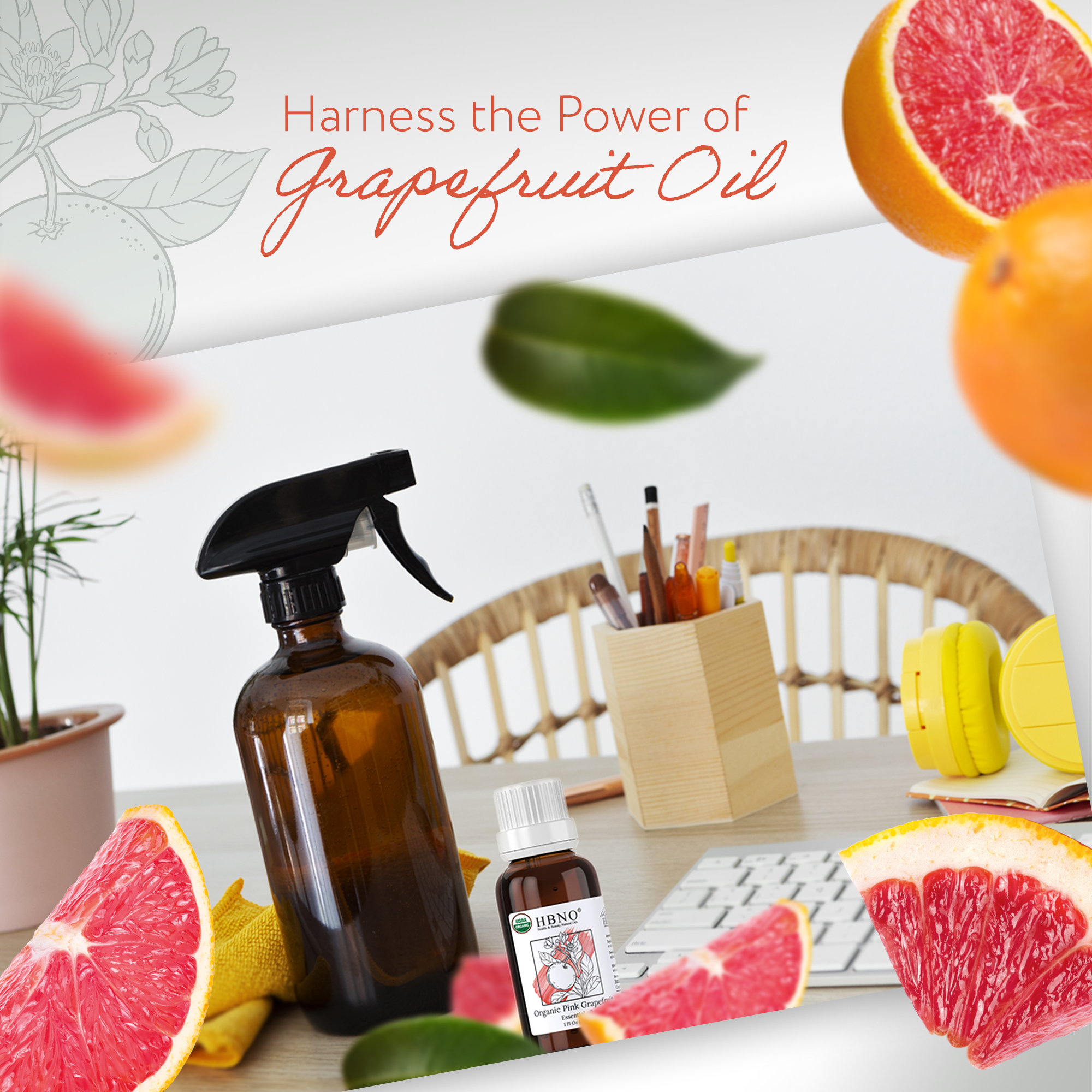 Grapefruit Pink Essential Oil Organic