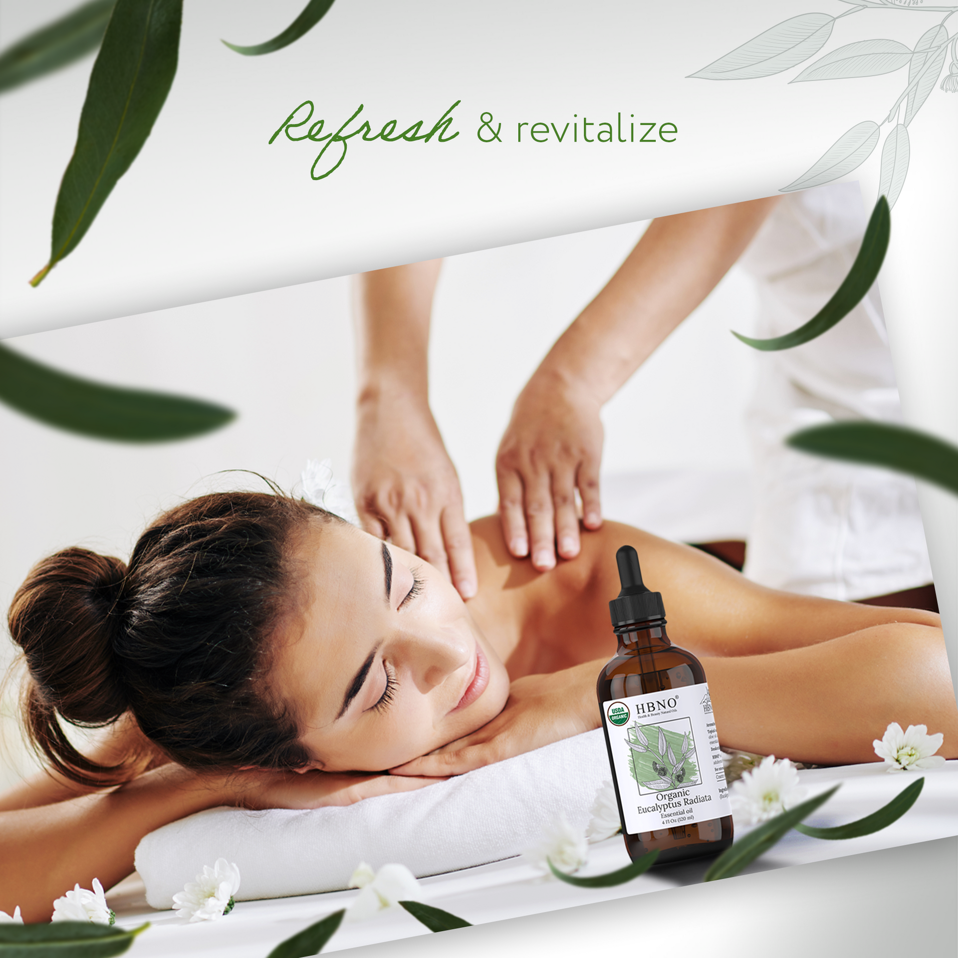 Eucalyptus Radiata Essential Oil Organic