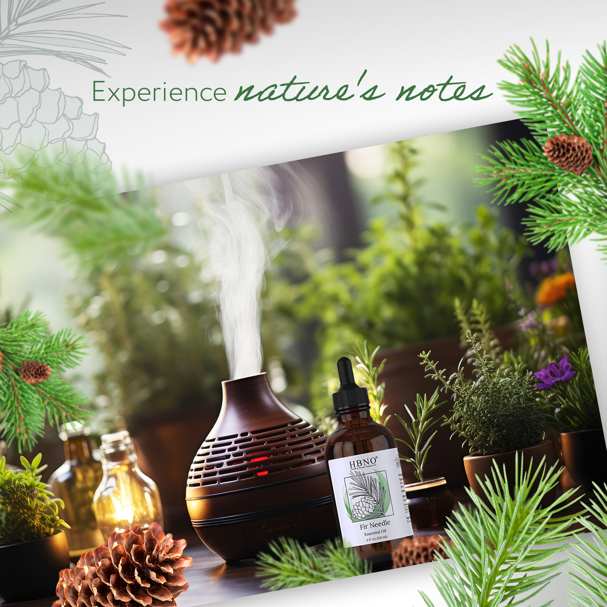 Balsam Fir Leaf Essential Oil Organic