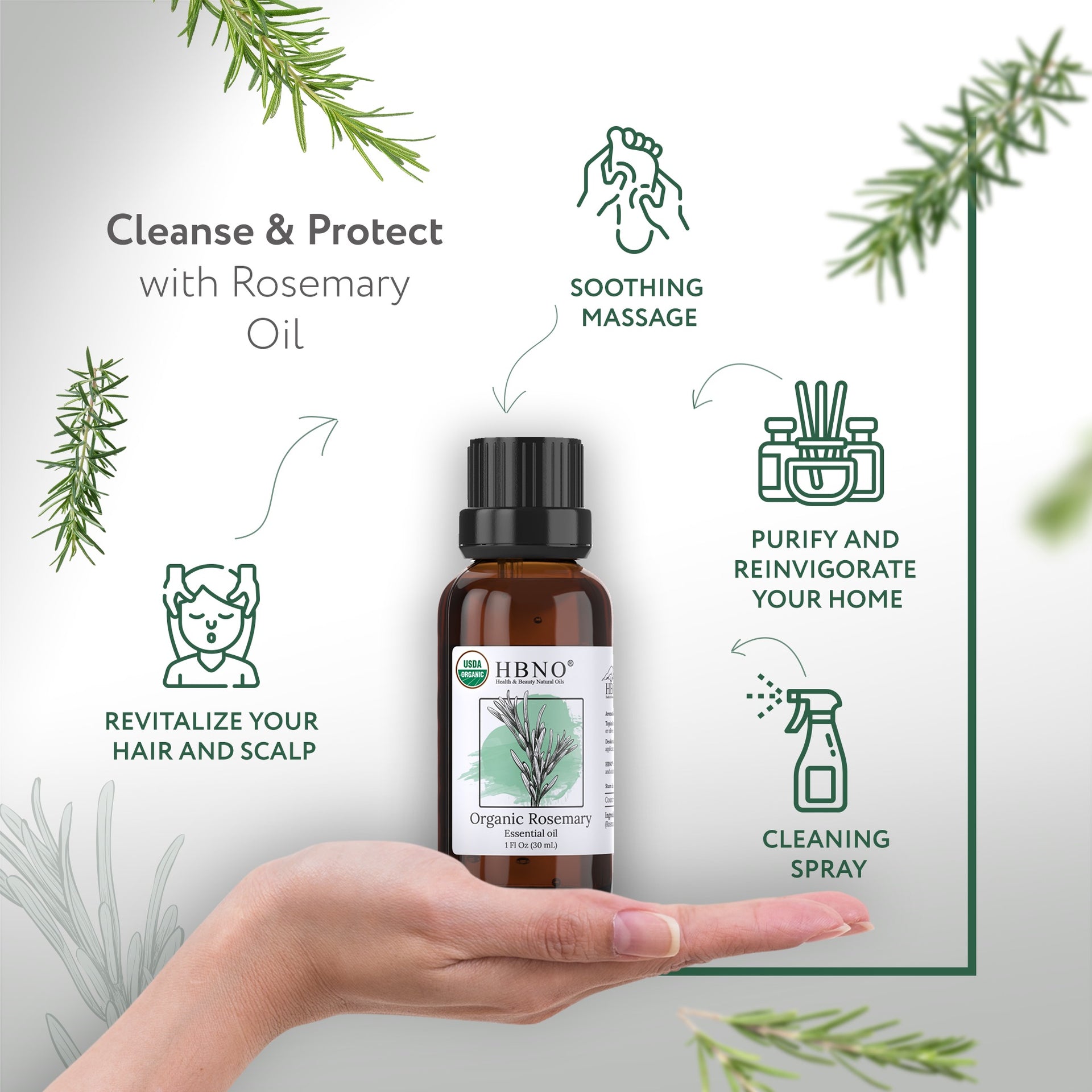 Rosemary Essential Oil Organic