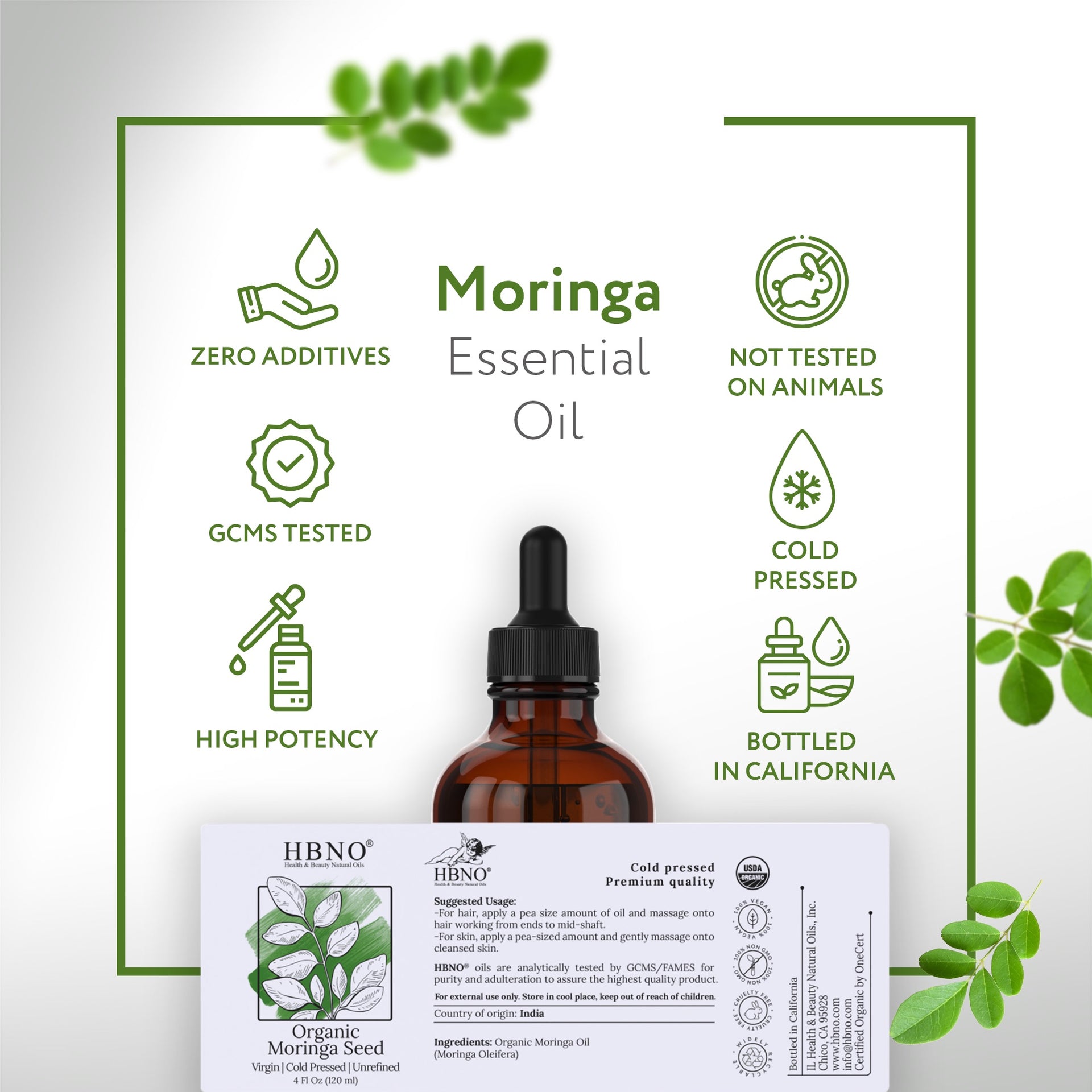 Moringa Seed India Carrier Oil Organic
