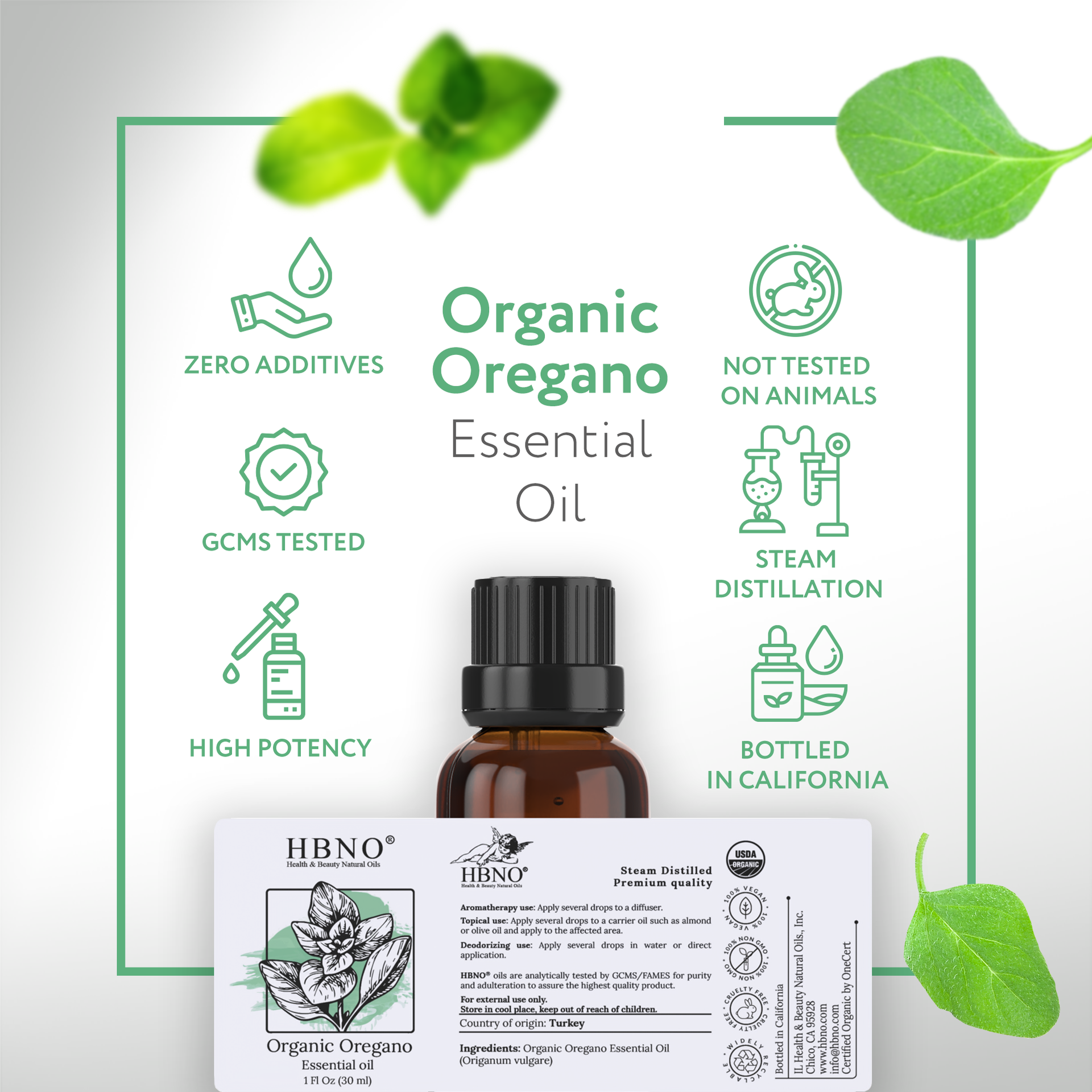 Oregano Essential Oil Organic