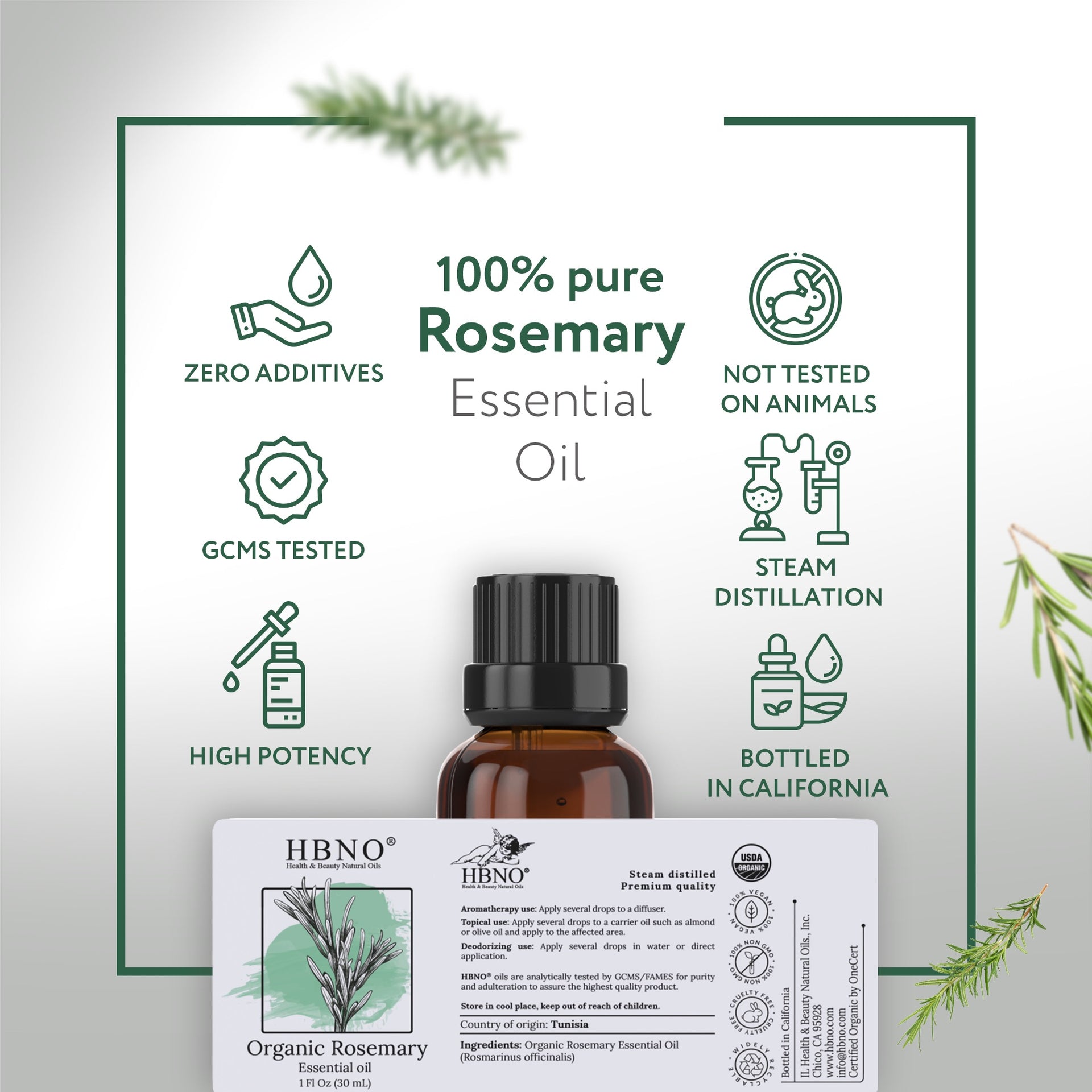 Rosemary Essential Oil Organic