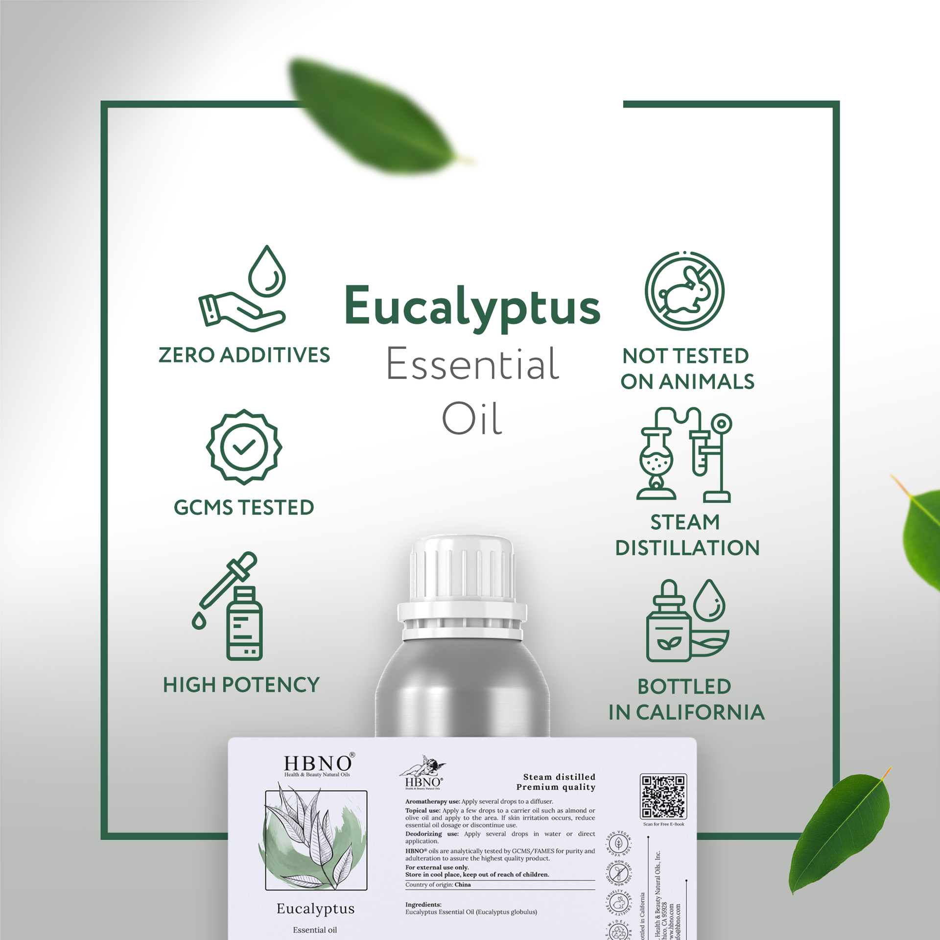 Eucalyptus Globulus Essential Oil