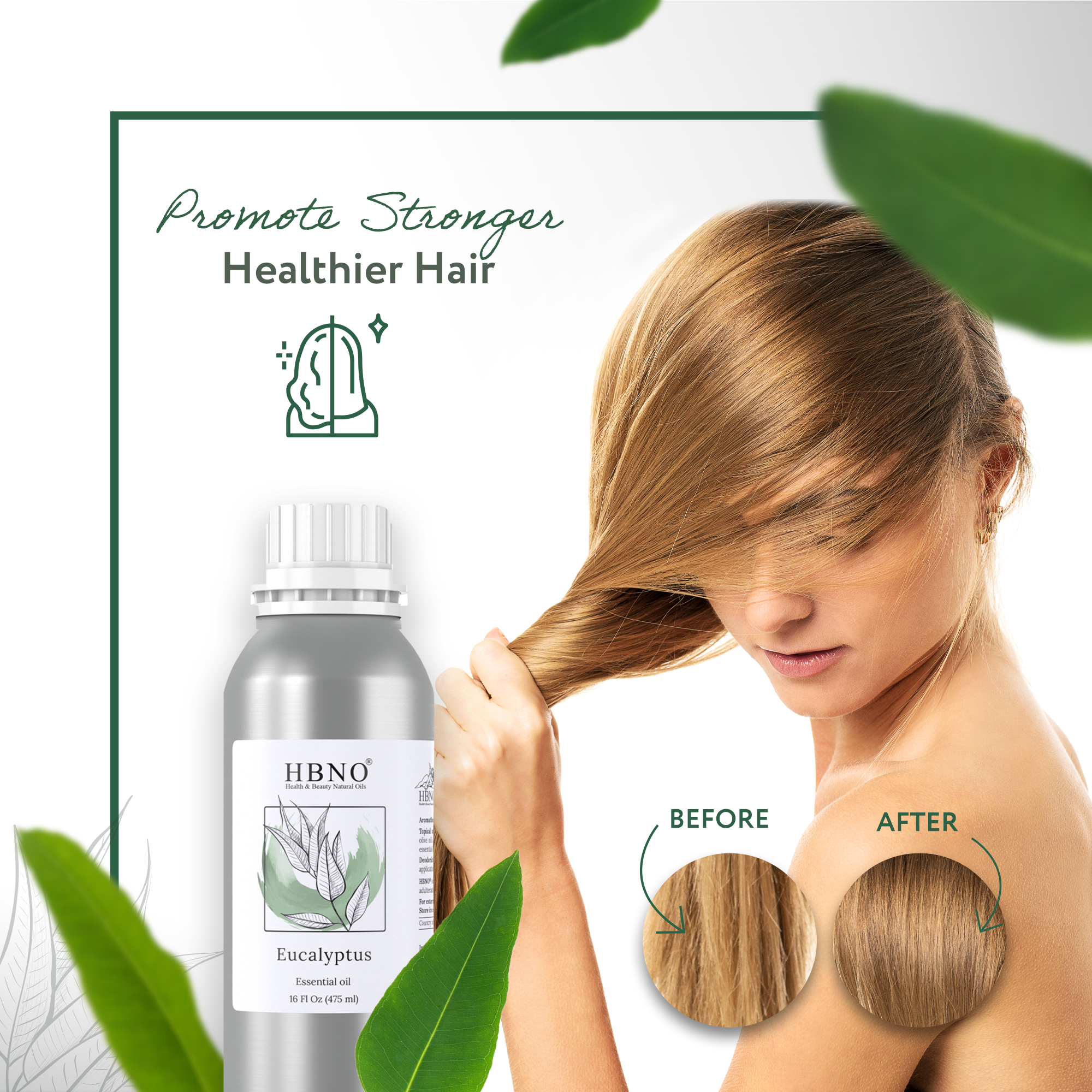 Eucalyptus Globulus Essential Oil